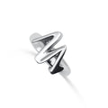 Monsieur Ring