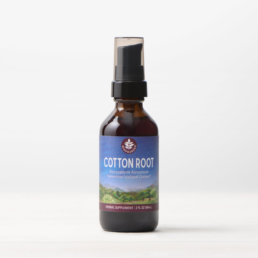 Cotton Root