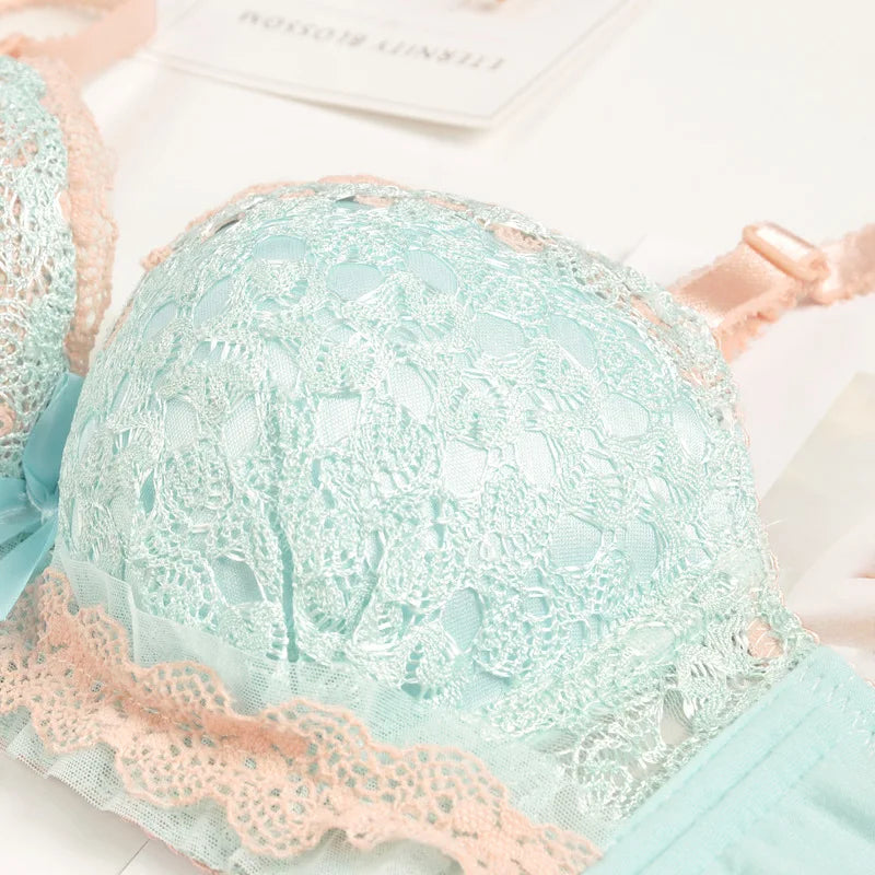 Push-up Bra and Panty Sets  Beauty Back Sexy Women's Underwear Set Lace Female Brassiere Embroidery Lingerie Set