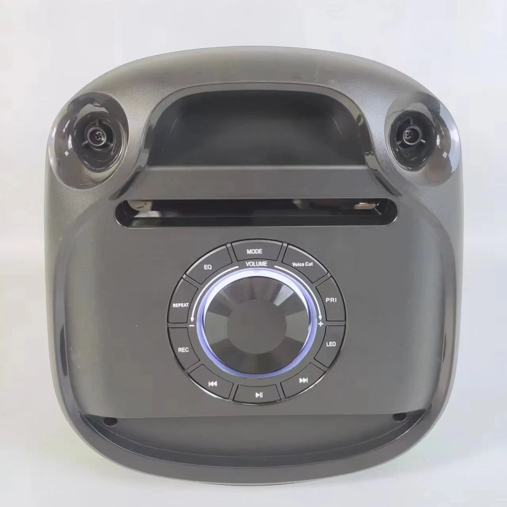 Factory Wholesale RX-M81F1B High Power Karaoke Singing Wireless Blue Tooth Speaker 50W Professional Grade Stage Speakers