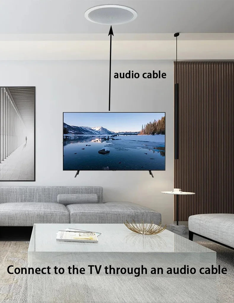 6-Inch 15W Active Load Indoor Audio Ceiling Speaker Waterproof Digital Class D Amplifier for Bluetooth Home Theatre 15W Battery