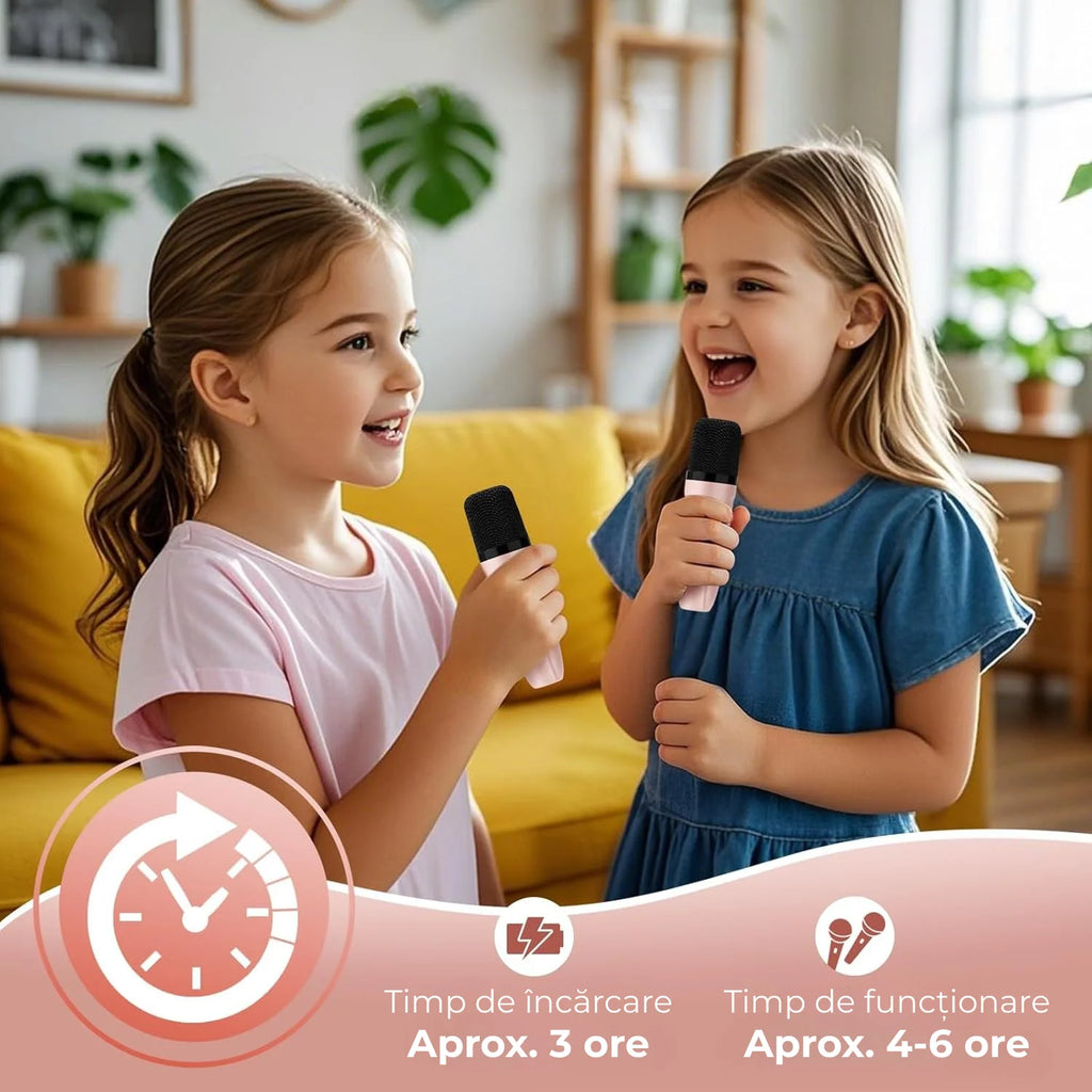 Passive Family Music Wireless 18 12 Inch Karaoke Speaker Professional With Capacity System 2 Microphone Partybox Audio Player