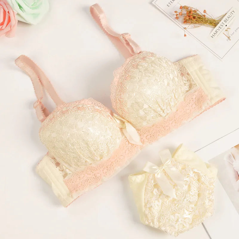Push-up Bra and Panty Sets  Beauty Back Sexy Women's Underwear Set Lace Female Brassiere Embroidery Lingerie Set