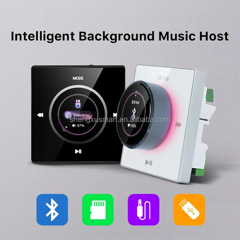 Smart Home Theater Sound Amplifier with Touch Screen FM Radio for Bluetooth USB Wall-Mounted for Background Music Smart Host
