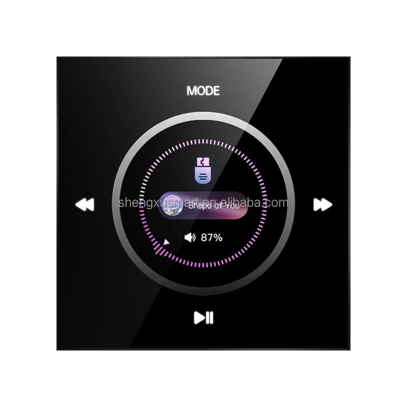 Smart Home Theater Sound Amplifier with Touch Screen FM Radio for Bluetooth USB Wall-Mounted for Background Music Smart Host