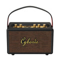 80W Karaoke Retro Speaker Powerful Portable Speaker with Bluetooth 5.3, Portable Handle, 24-Hour Playtime, for Party, Camping