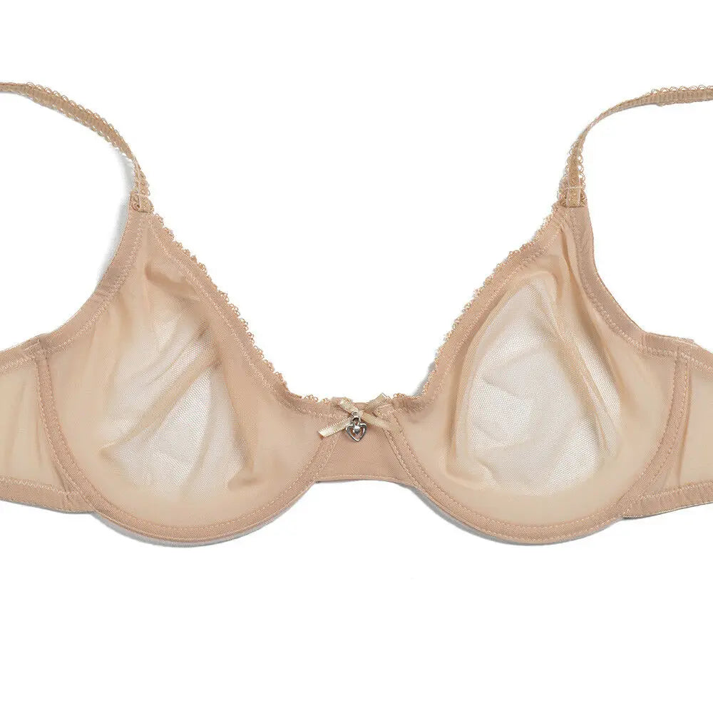 New Women bra panty see through M L XL XXL XXXL sexy gauze mesh transparent thin Bras B C D E F 75 80 85 90 95 100 Dropship