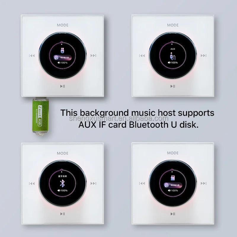 Smart Home Theater Sound Amplifier with Touch Screen FM Radio for Bluetooth USB Wall-Mounted for Background Music Smart Host