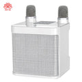 YS210 Mini Bluetooth Speaker Microphone Wireless Portable Subwoofer Ys-203 Wireless Karaoke Speaker With 2 Microphones Kd-203