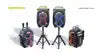 HOPESTAR Partyone Club 650W Outdoor High-Power Wireless for Speaker IPX-6 Waterproof 2 Mic Ready Colorful