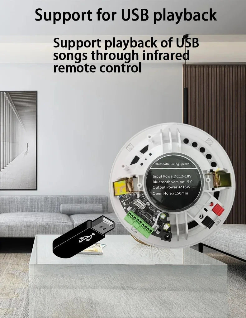 6-Inch 15W Active Load Indoor Audio Ceiling Speaker Waterproof Digital Class D Amplifier for Bluetooth Home Theatre 15W Battery