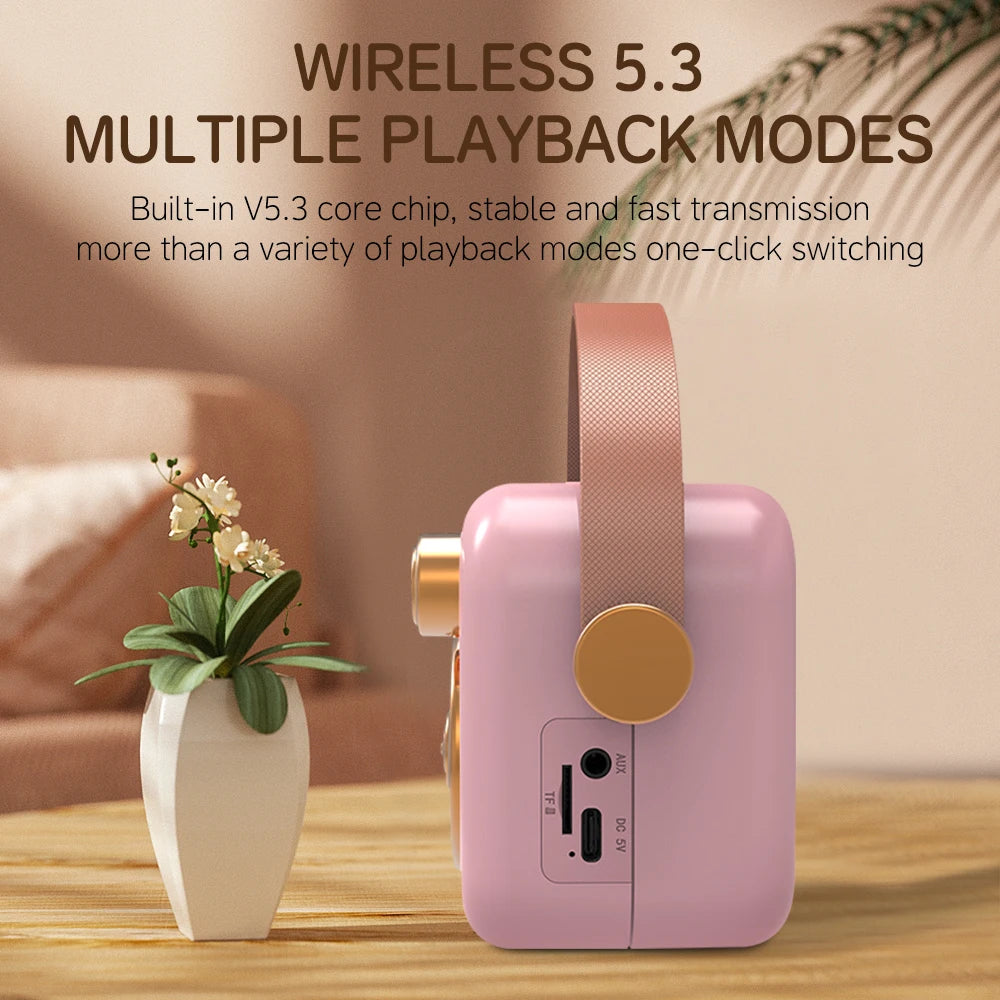 Portable 15W Wireless Speaker RGB LED Lighting Mini Karaoke Machine 2 Wireless Microphones Parties Kids Adults Birthday Gifts