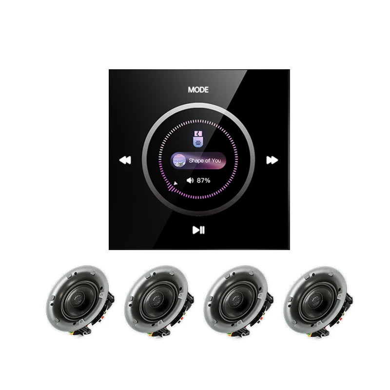 4-Inch Wall AmplifierTouch Screen Wall-Mounted Home Theater System Sound Amplifier for & Host Blue-tooth Background Music