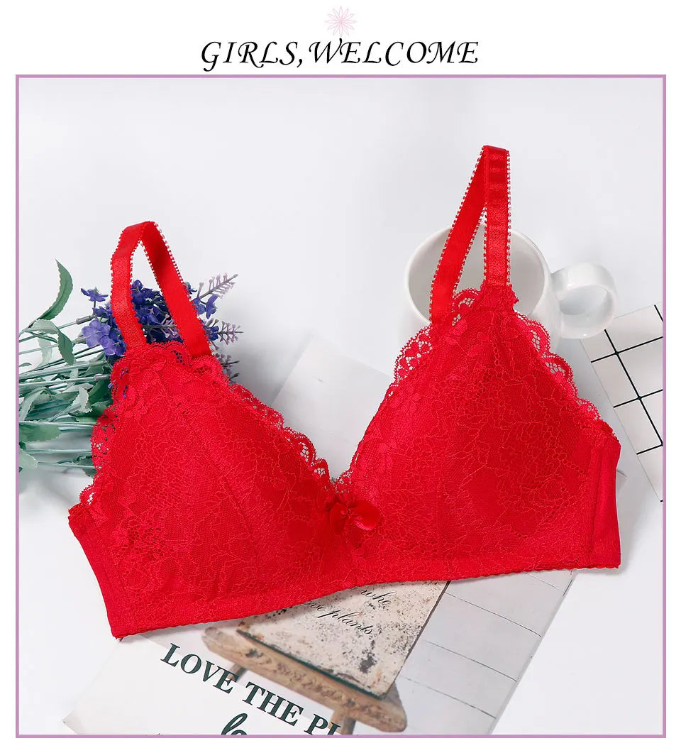 lingerie underwear women japanese pink bra plus size feminino lace intimates wire free bralette