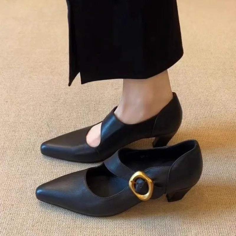 Women's High Heels Shoes Temperament Pointed Toe Leather Single Shoes for Women Elegant Banquet Party Dress Shoes Zapatos Mujer