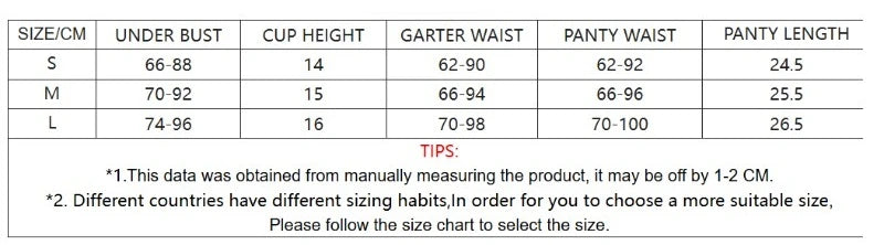 Lingeries Sexy Hot Elegant Ethical Underwear Floral Embroidery See Through 4-piece Push Up Lace Bra Thong Garter Lingerie Sets
