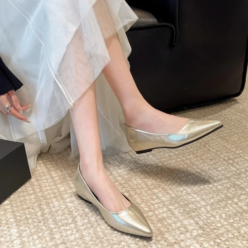 Fashionable low-heeled women's single shoes. Spring/Summer new style. Pointed toe office and commuting comfortable leather shoes