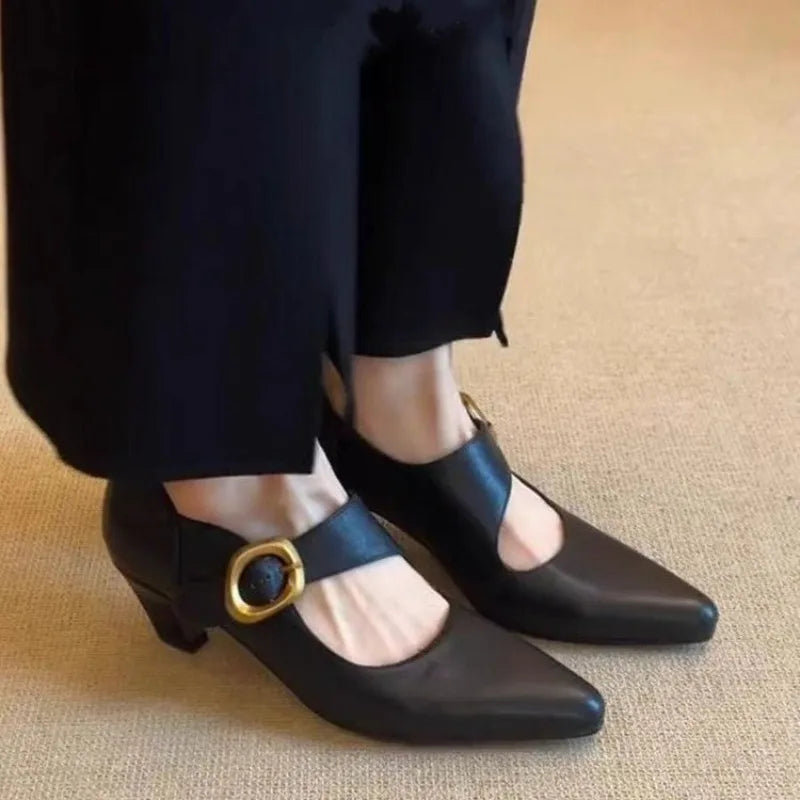 Women's High Heels Shoes Temperament Pointed Toe Leather Single Shoes for Women Elegant Banquet Party Dress Shoes Zapatos Mujer