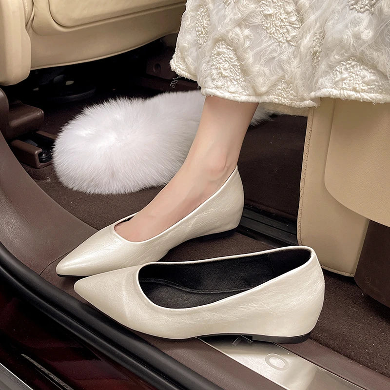 Fashionable low-heeled high-heel women's shoes, high heels, spring/summer new style, pointed-toe office commuting single shoes