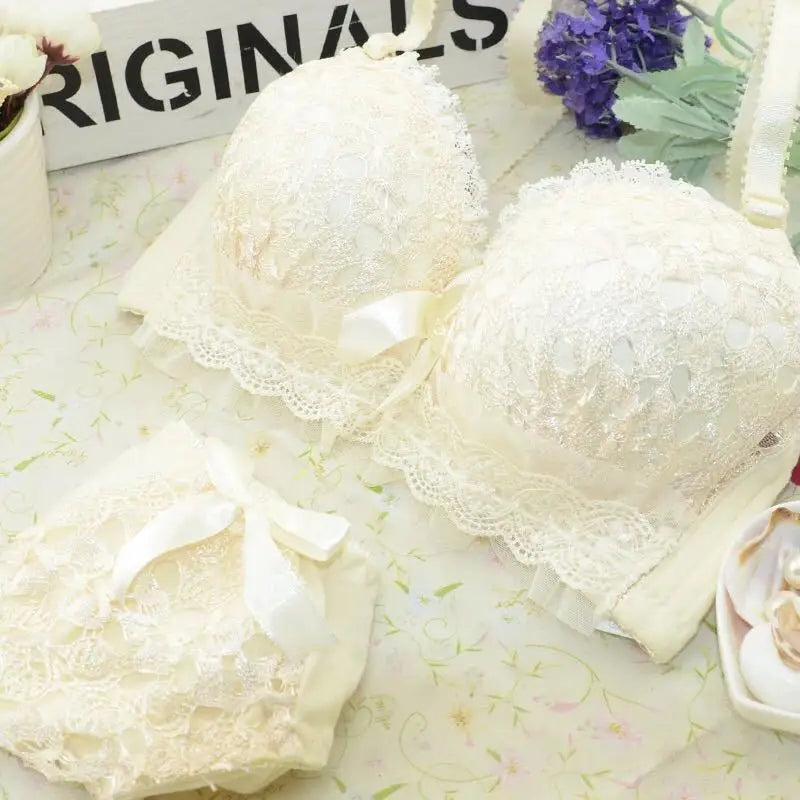 Push-up Bra and Panty Sets  Beauty Back Sexy Women's Underwear Set Lace Female Brassiere Embroidery Lingerie Set