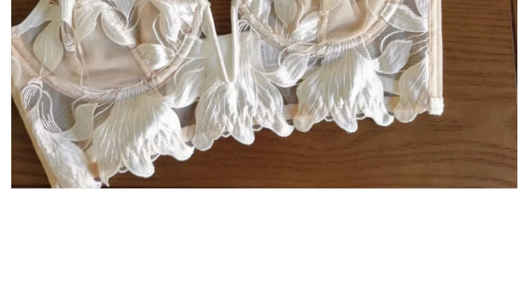 Women Lace Lingerie Set Elegant Sexy Bra Set See Through Underwear Ventilate Ladies Bra and Panty Set