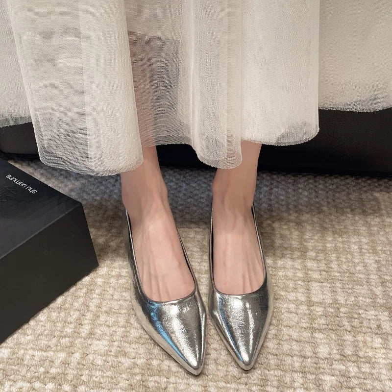 Fashionable low-heeled women's single shoes. Spring/Summer new style. Pointed toe office and commuting comfortable leather shoes