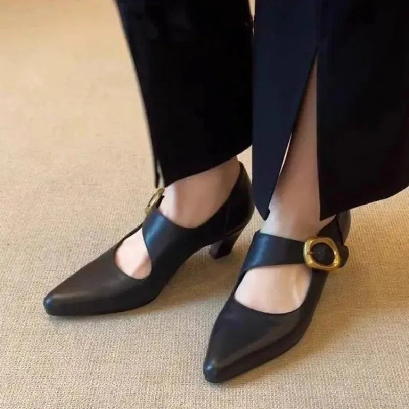 Women's High Heels Shoes Temperament Pointed Toe Leather Single Shoes for Women Elegant Banquet Party Dress Shoes Zapatos Mujer