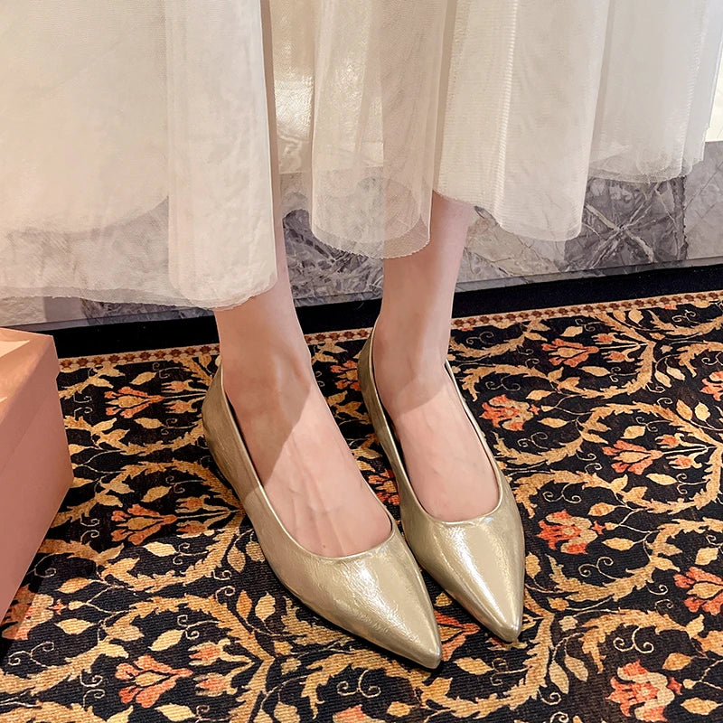 Fashionable low-heeled high-heel women's shoes, high heels, spring/summer new style, pointed-toe office commuting single shoes