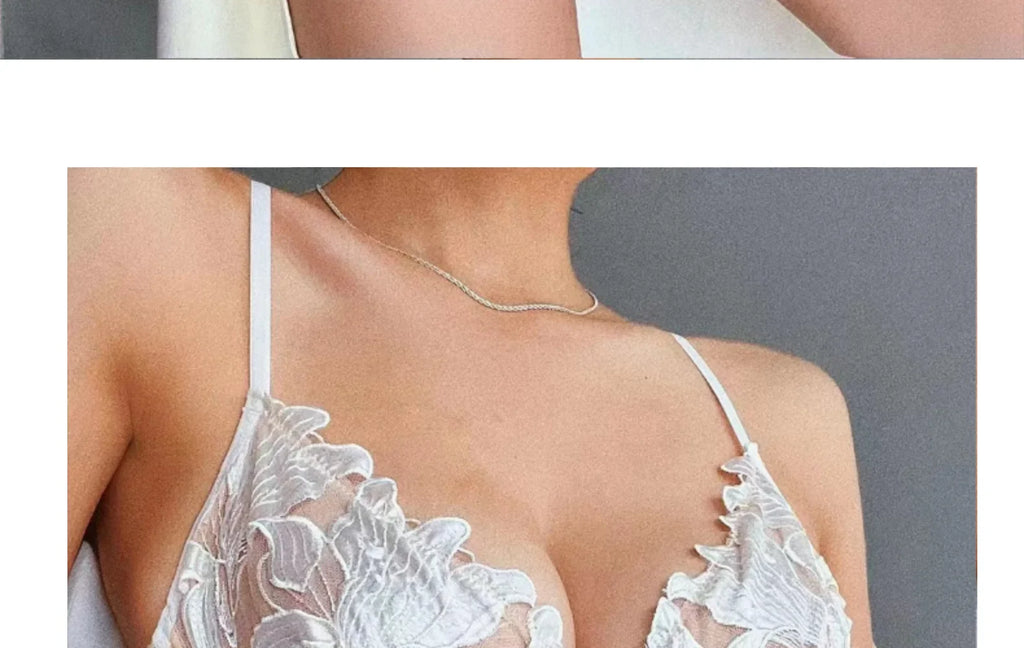 Women Lace Lingerie Set Elegant Sexy Bra Set See Through Underwear Ventilate Ladies Bra and Panty Set