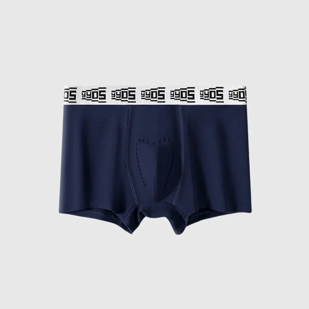 Lingerie Mesh Men's Flat Panties Mid Waist Ice Silk Shorts Boxers Traceless Underpants Seamless Briefs Gift