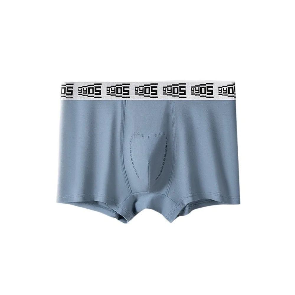 Lingerie Mesh Men's Flat Panties Mid Waist Ice Silk Shorts Boxers Traceless Underpants Seamless Briefs Gift