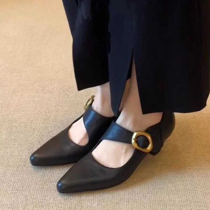 Women's High Heels Shoes Temperament Pointed Toe Leather Single Shoes for Women Elegant Banquet Party Dress Shoes Zapatos Mujer