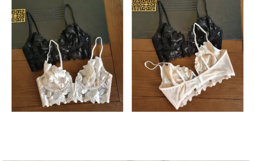 Women Lace Lingerie Set Elegant Sexy Bra Set See Through Underwear Ventilate Ladies Bra and Panty Set