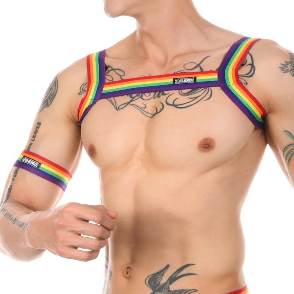Lingerie Mens Harness Straps Sexy Man Body Chest Costumes High Elastic Bondage Costume With Arm Band Man Night Club