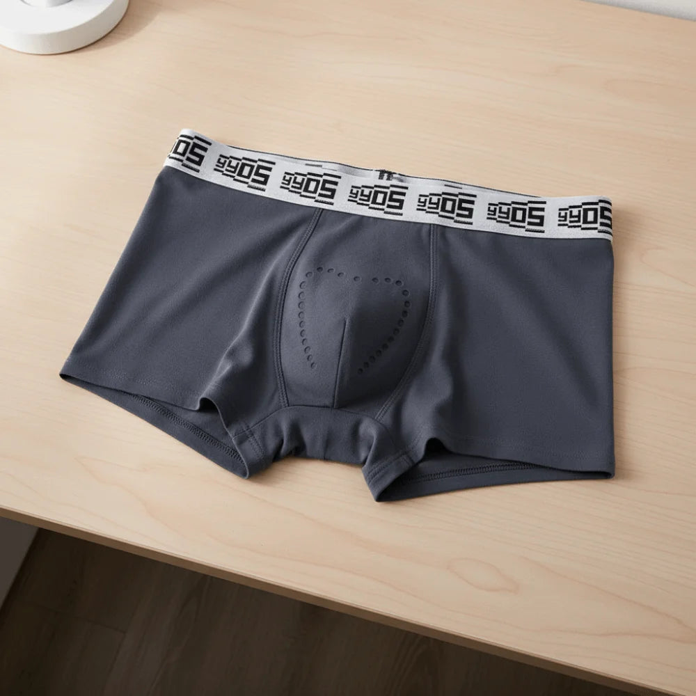 Lingerie Mesh Men's Flat Panties Mid Waist Ice Silk Shorts Boxers Traceless Underpants Seamless Briefs Gift