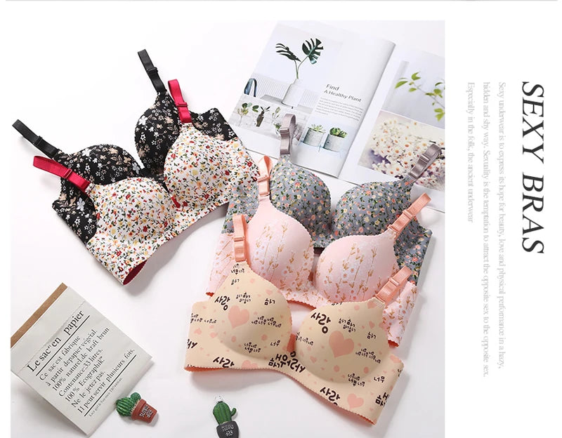 Seamless Bra Set For Women Underwear Push Up Lingerie Set Wire Free Bra & Panties Set 3/4 Cup Adjustable Brassiere & Briefs Set