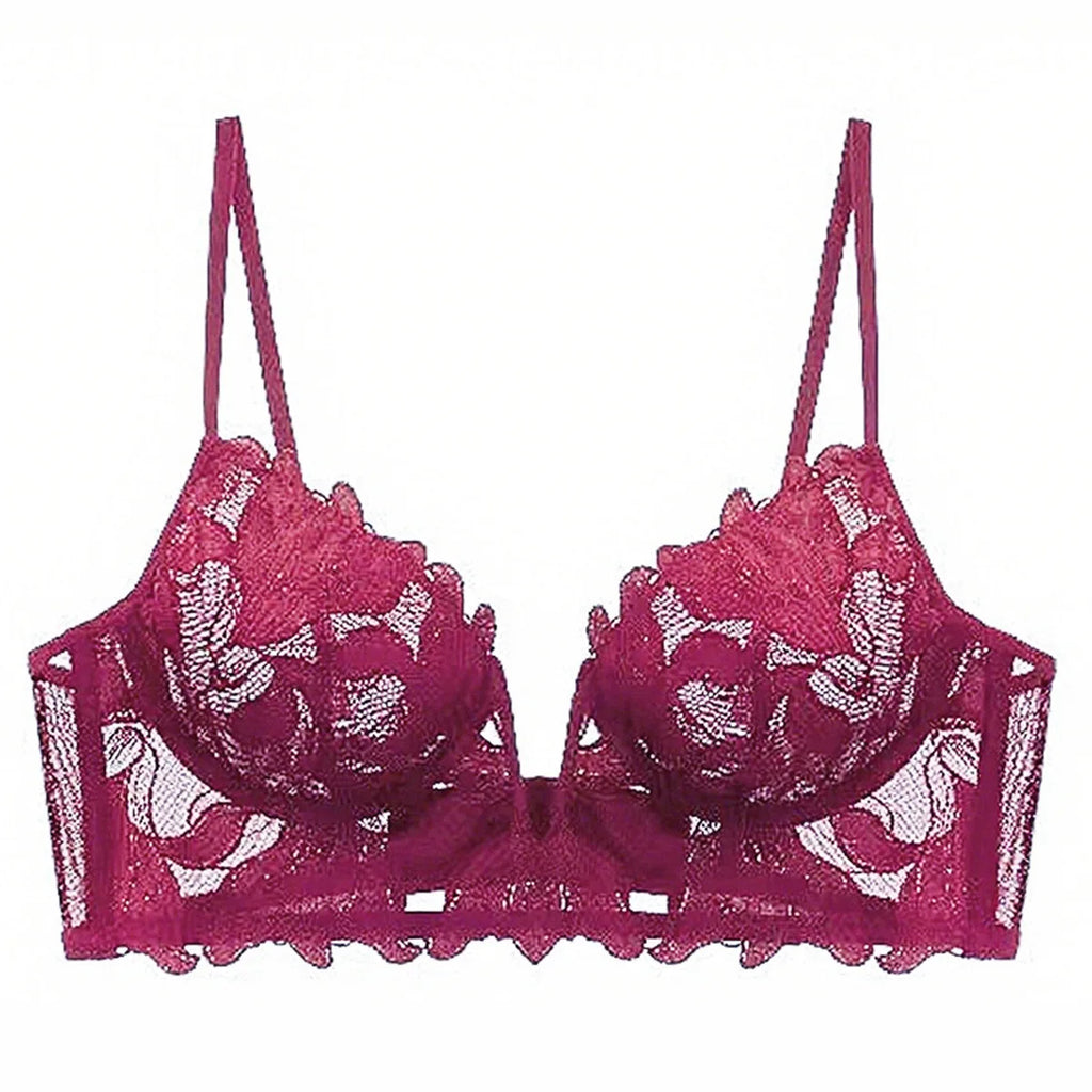 Women Lace Lingerie Set Elegant Sexy Bra Set See Through Underwear Ventilate Ladies Bra and Panty Set