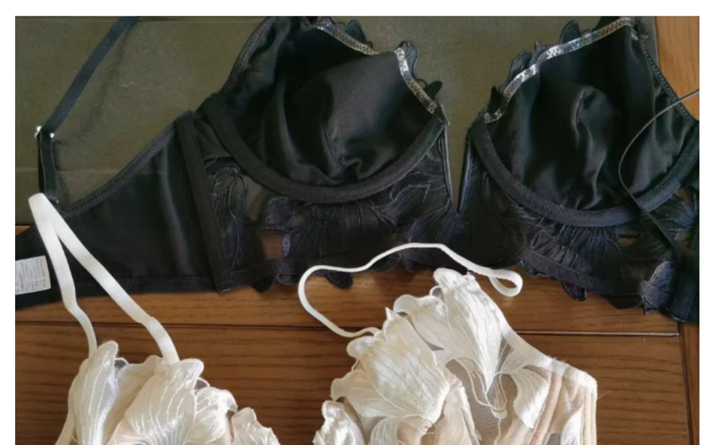 Women Lace Lingerie Set Elegant Sexy Bra Set See Through Underwear Ventilate Ladies Bra and Panty Set
