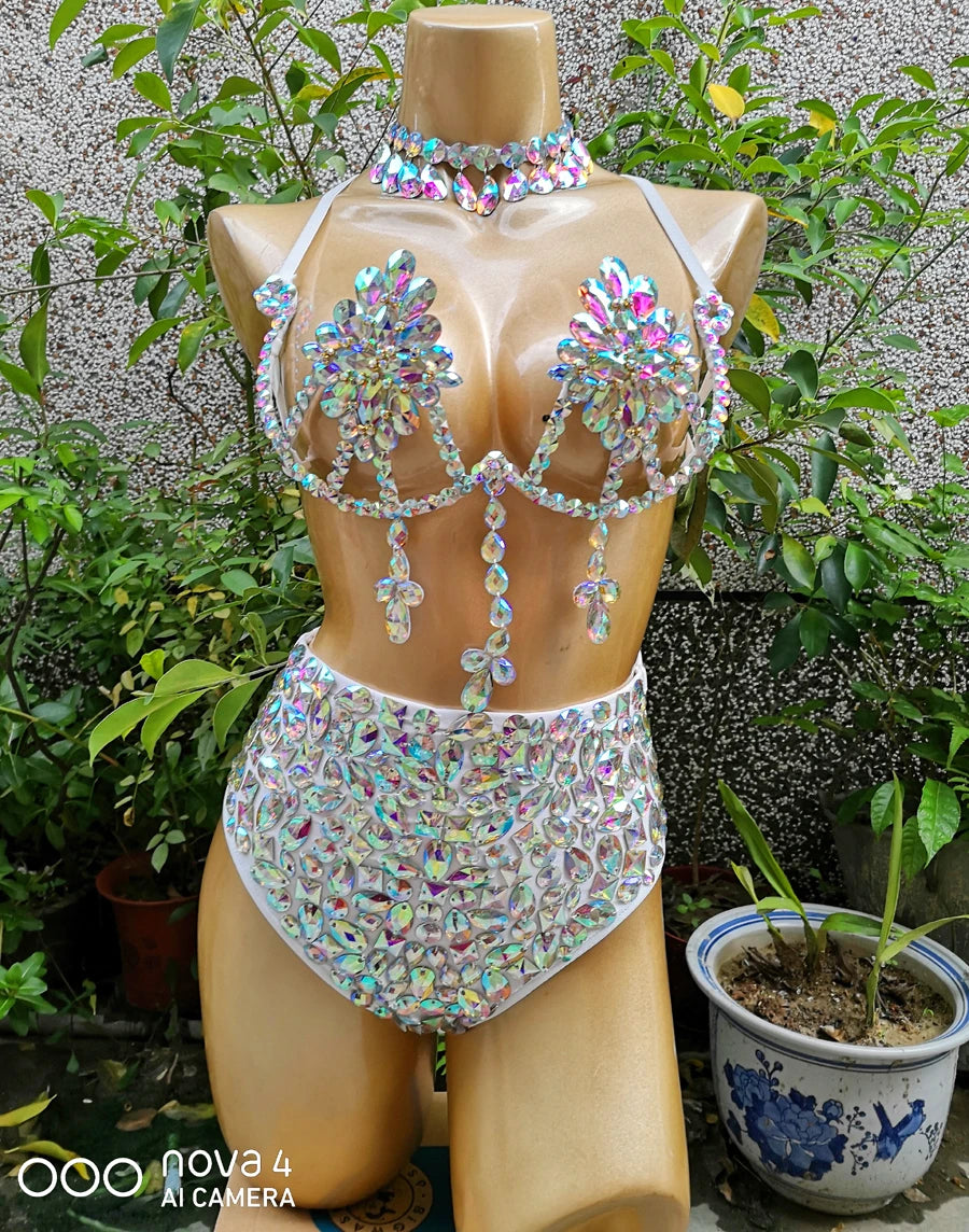 New Women Belly Dancing Wire Bra Top High Waist Pants Samba Carnival Costume Set For Hot Girl Nightclub Stage Dancer Wears