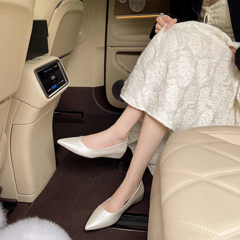 Fashionable low-heeled high-heel women's shoes, high heels, spring/summer new style, pointed-toe office commuting single shoes