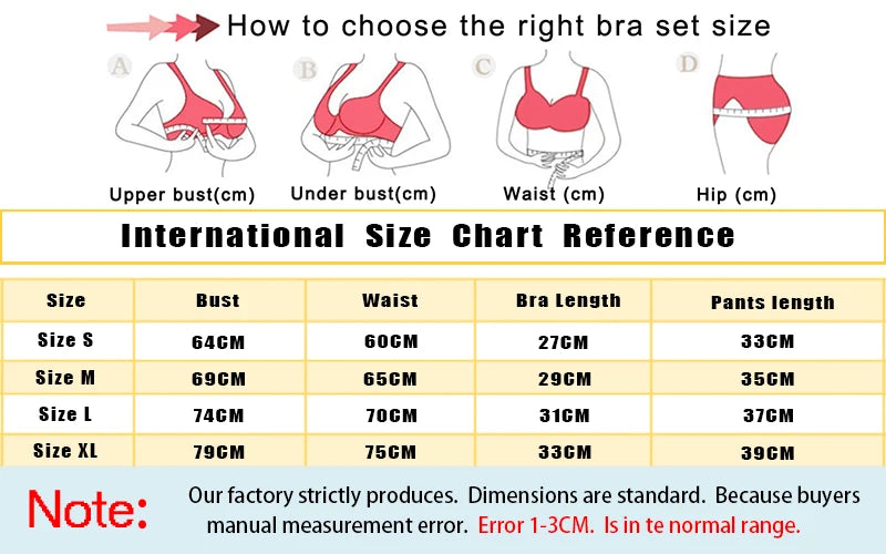 Sexy Bra Panty And Garters Lingerie Sexual Outfit Hot Transparent Wine Red Lace Exotic Women's Underwear Bra Set Erotic Costumes