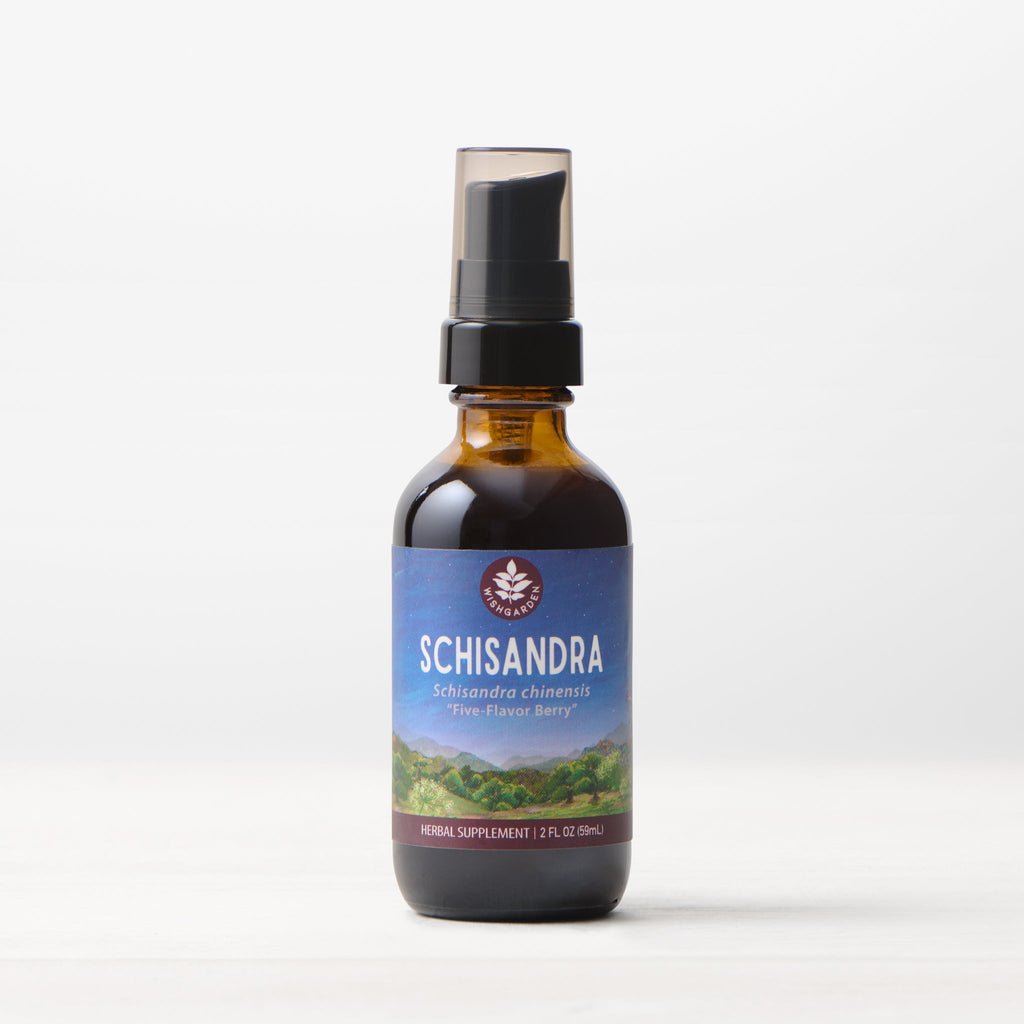 Schisandra