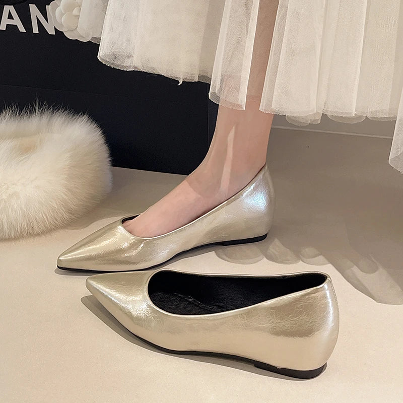 Fashionable low-heeled women's single shoes. Spring/Summer new style. Pointed toe office and commuting comfortable leather shoes