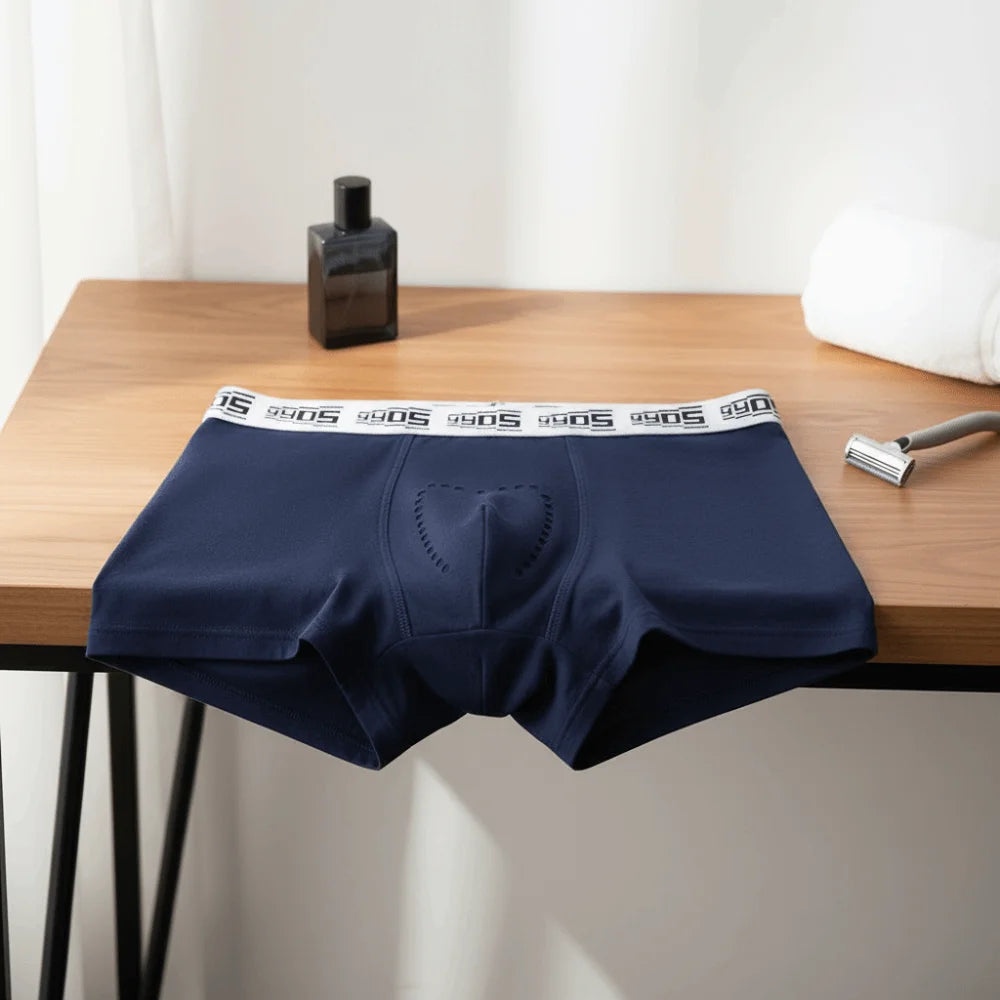 Lingerie Mesh Men's Flat Panties Mid Waist Ice Silk Shorts Boxers Traceless Underpants Seamless Briefs Gift
