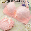 Push-up Bra and Panty Sets  Beauty Back Sexy Women's Underwear Set Lace Female Brassiere Embroidery Lingerie Set
