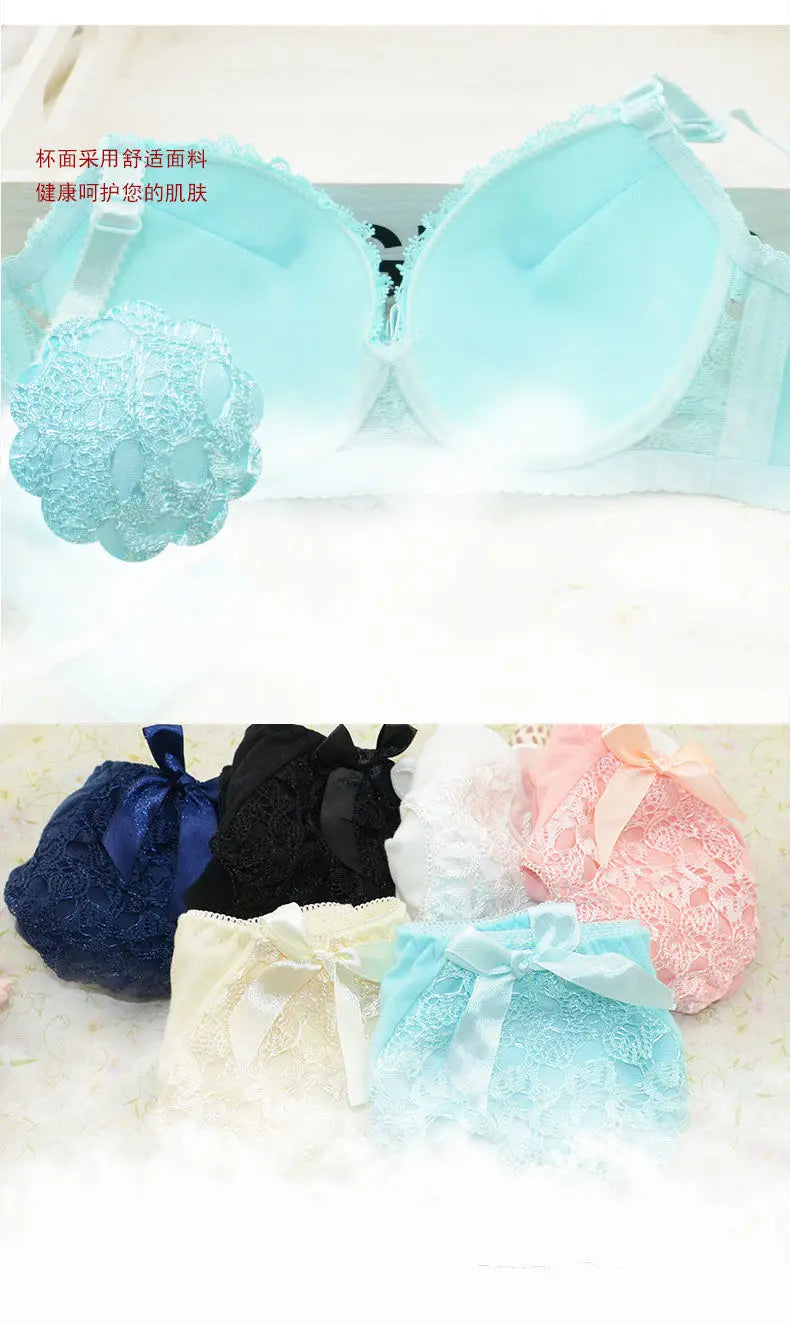 Push-up Bra and Panty Sets  Beauty Back Sexy Women's Underwear Set Lace Female Brassiere Embroidery Lingerie Set