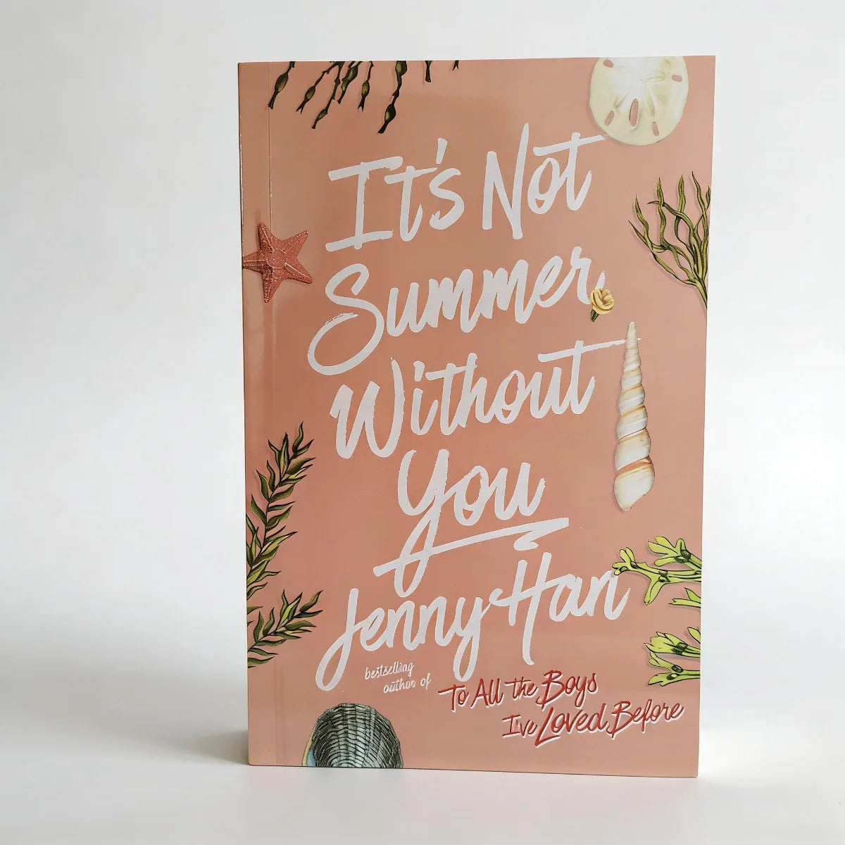 It's Not Summer Without You By Jenny Han - Summer Romance Young Adult Fiction Love Story Book