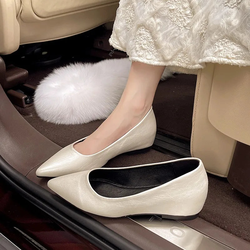 Fashionable low-heeled high-heel women's shoes, high heels, spring/summer new style, pointed-toe office commuting single shoes