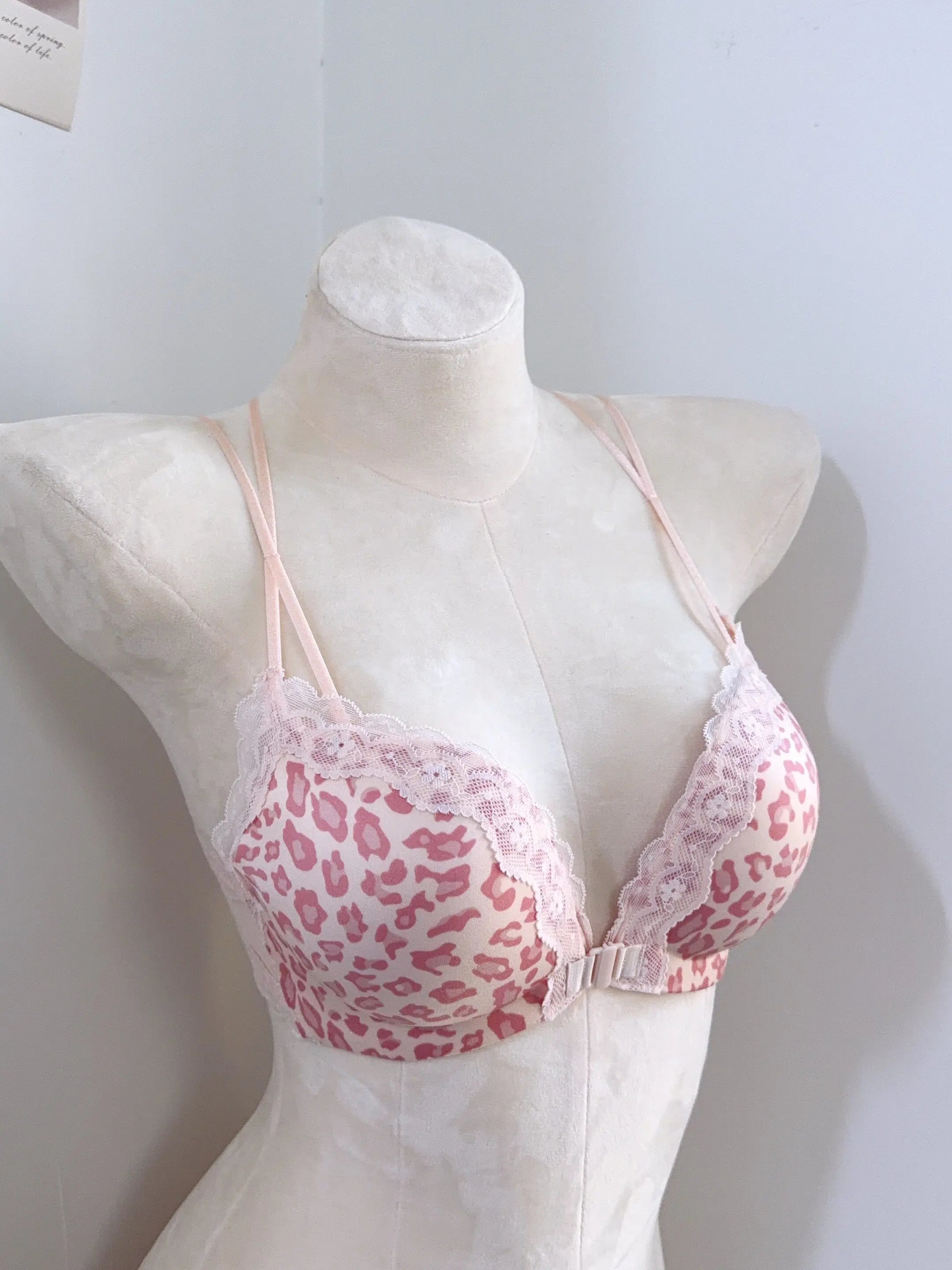 Hot Sale Front Closure Leopard Push Up Bra Set for Women, Backless Small Chest Lift Comfortable Underwear Set