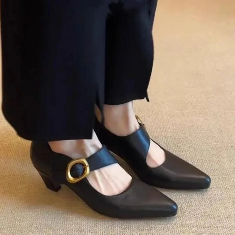 Women's High Heels Shoes Temperament Pointed Toe Leather Single Shoes for Women Elegant Banquet Party Dress Shoes Zapatos Mujer